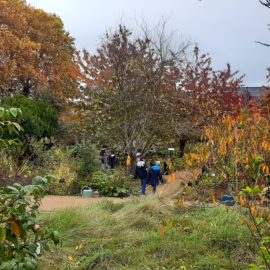 Retour sur la Journée du Loisir Nature 2021