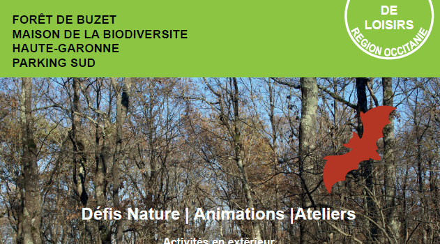 Journée du Loisir Nature 2024 – 31/10 à la forêt de Buzet